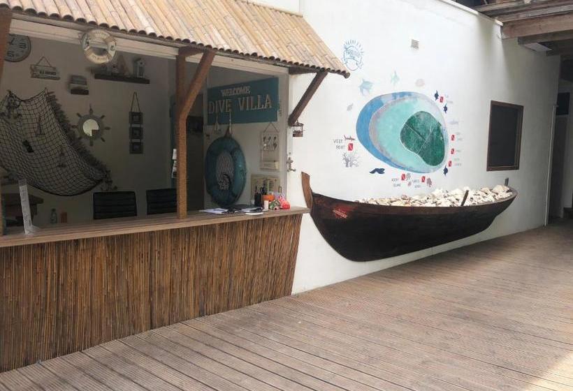 Pensió Dive Villa Thoddoo