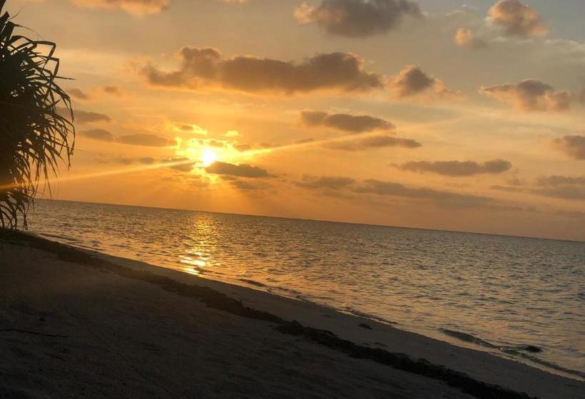 Pensió Dive Villa Thoddoo