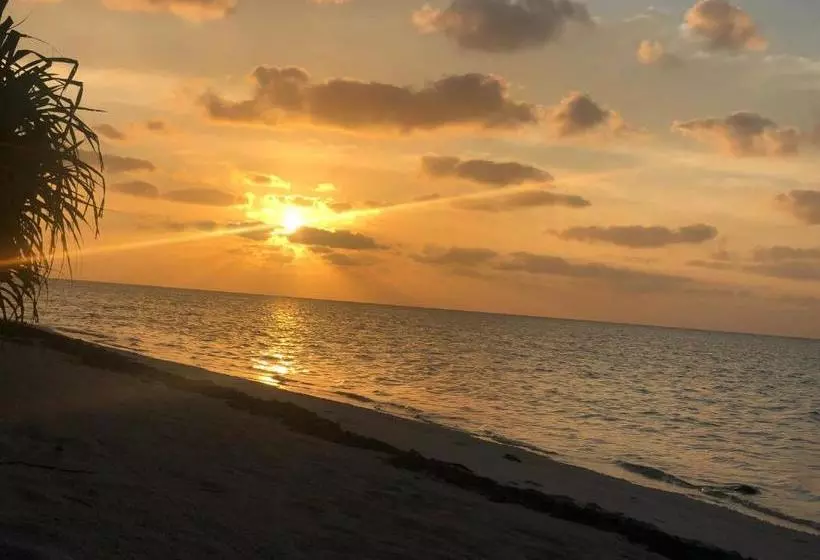 پانسیون Dive Villa Thoddoo