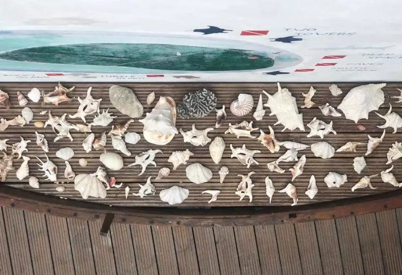 پانسیون Dive Villa Thoddoo