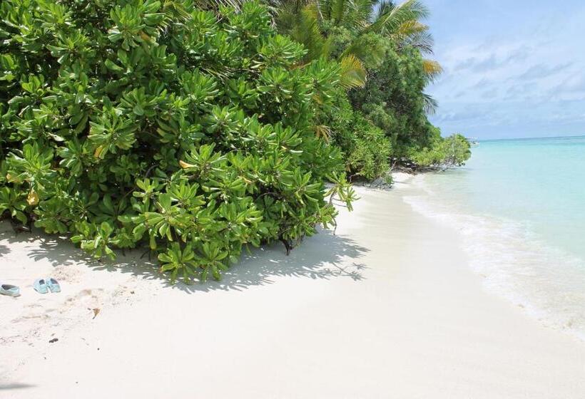 Pensió Evila Inn Thoddoo