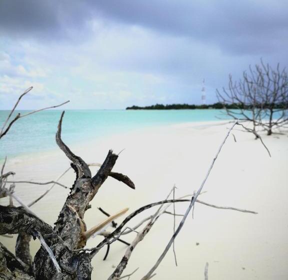 Pensió Evila Inn Thoddoo