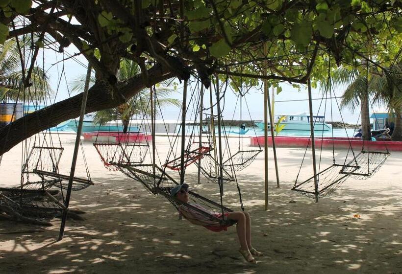 Pensió Evila Inn Thoddoo