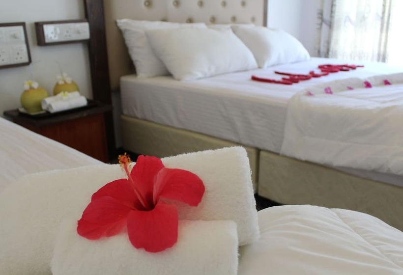 پانسیون Thoddoo Inn