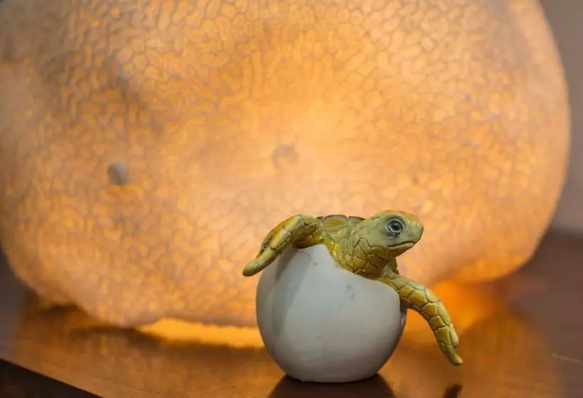 Hotelli Airlie Guest House