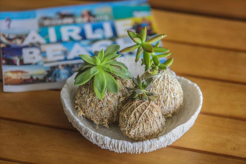 酒店 Airlie Guest House