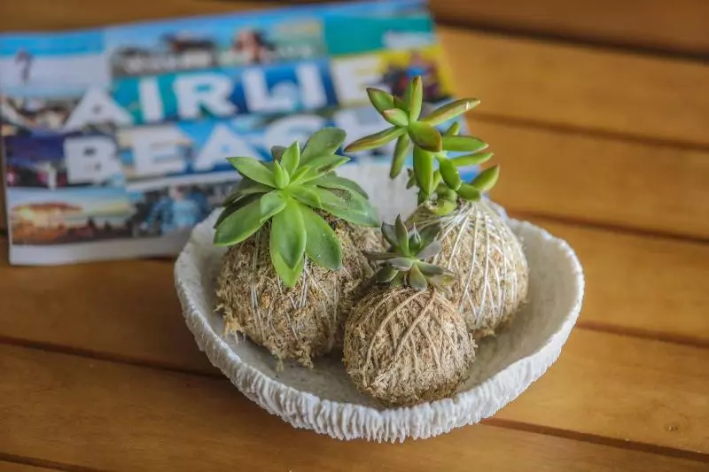 Hotelli Airlie Guest House