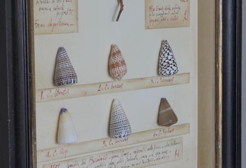 فندق Villa Ducale