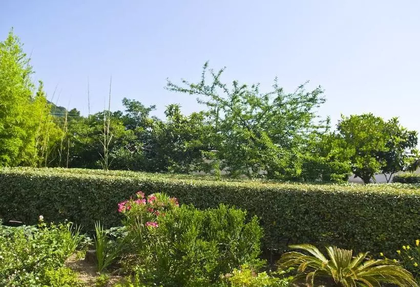 Отель Villa Sarah