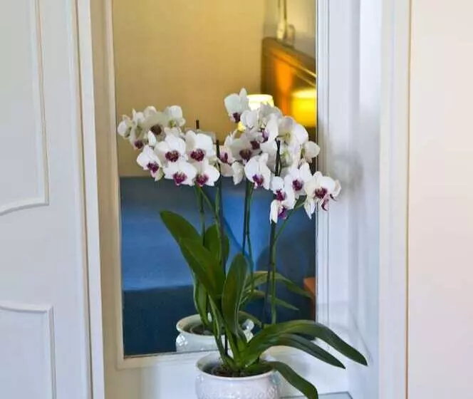 Отель Villa Sarah