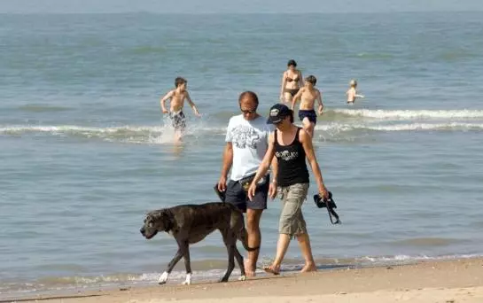 Отель Bad De Wielingen