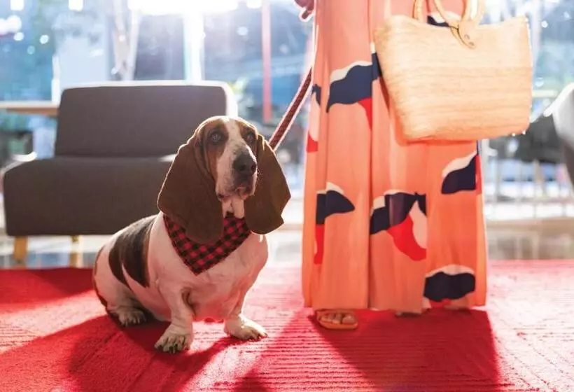 호텔 Fiesta Inn Express Perinorte