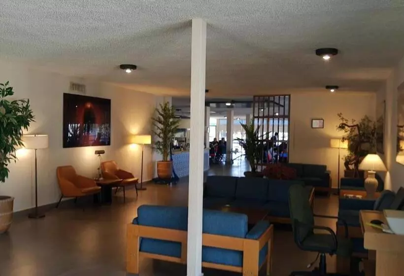 فندق Las Palmas Midway Inn