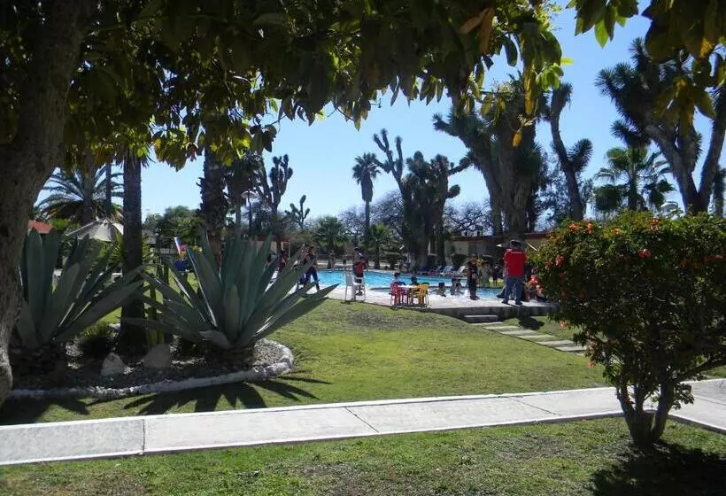 فندق Las Palmas Midway Inn