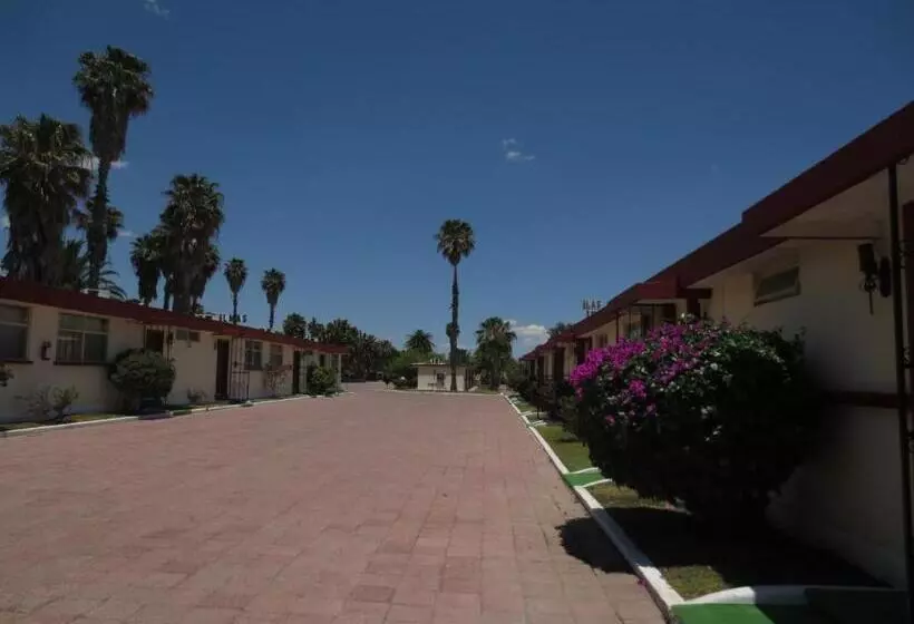 فندق Las Palmas Midway Inn