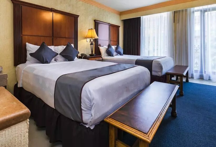 酒店 Quinta Del Rey