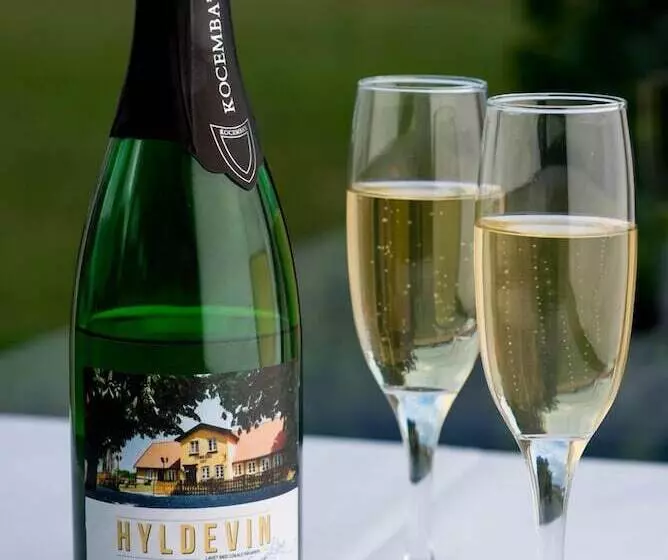 Hotelli Femø Kro Anno2022