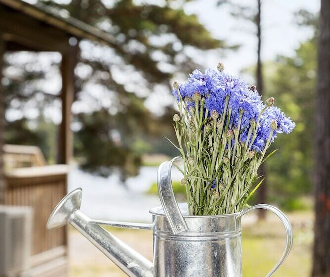 فندق First Camp Gunnarsö Oskarshamn