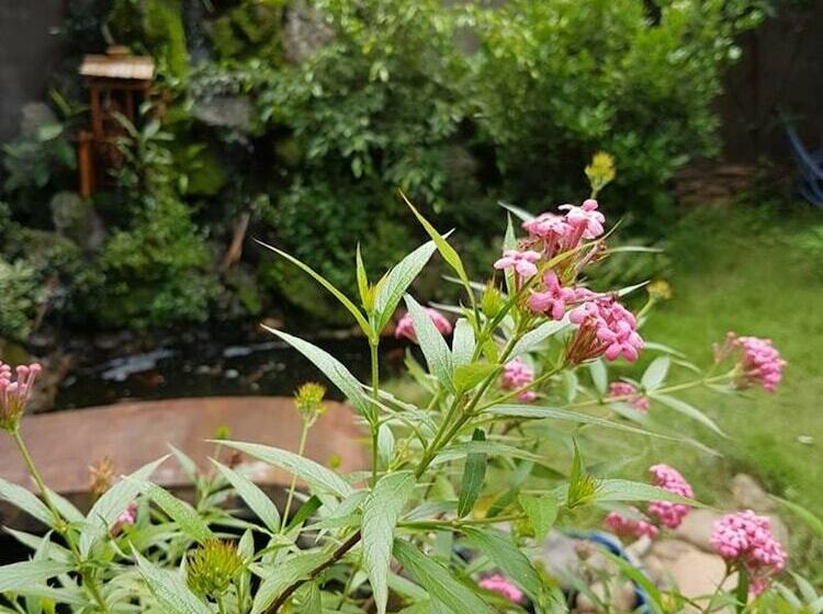 Hôtel Hana Resort & Bungalow