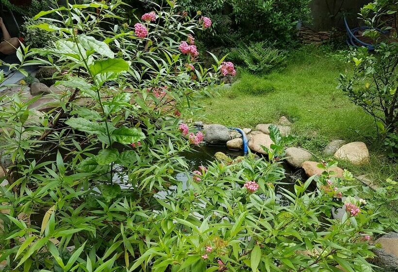 Hôtel Hana Resort & Bungalow