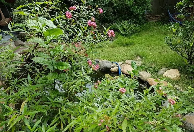 هتل Hana Resort & Bungalow