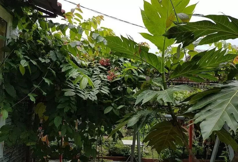 هتل Hana Resort & Bungalow