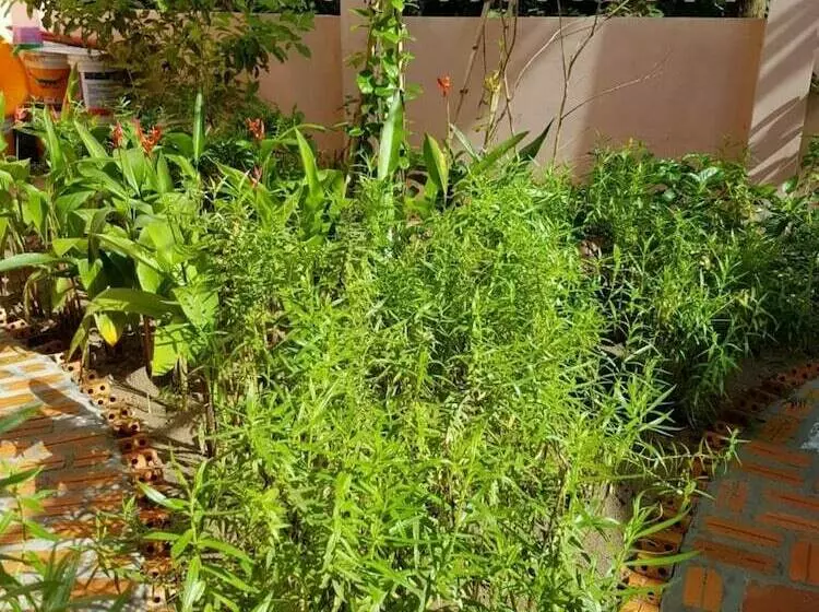 هتل Hana Resort & Bungalow