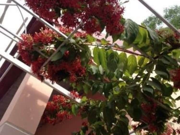 Hôtel Hana Resort & Bungalow