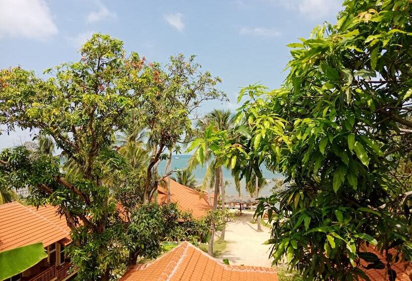 هتل Mango Beach Resort