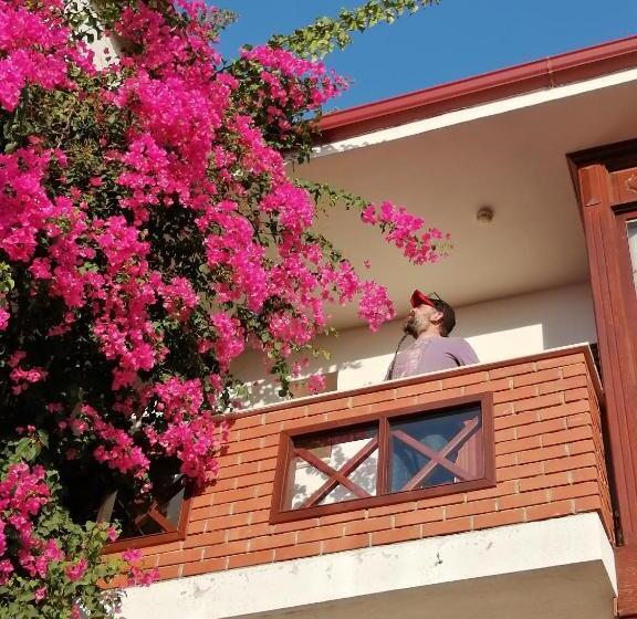 בית מלון כפרי Mary S House