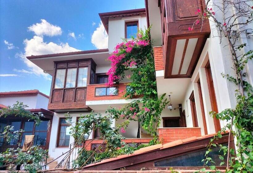 בית מלון כפרי Mary S House