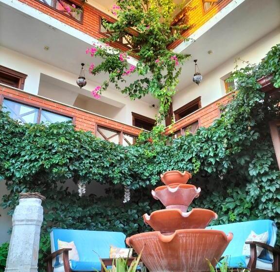 בית מלון כפרי Mary S House