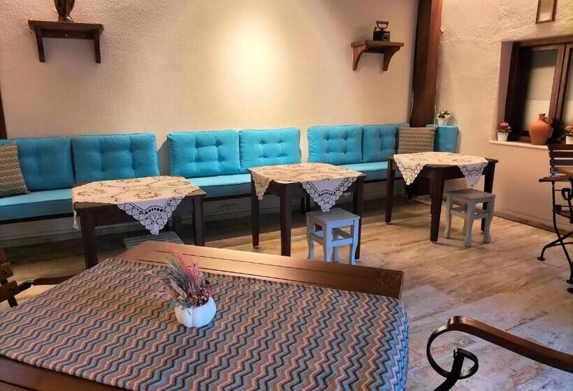 בית מלון כפרי Mary S House