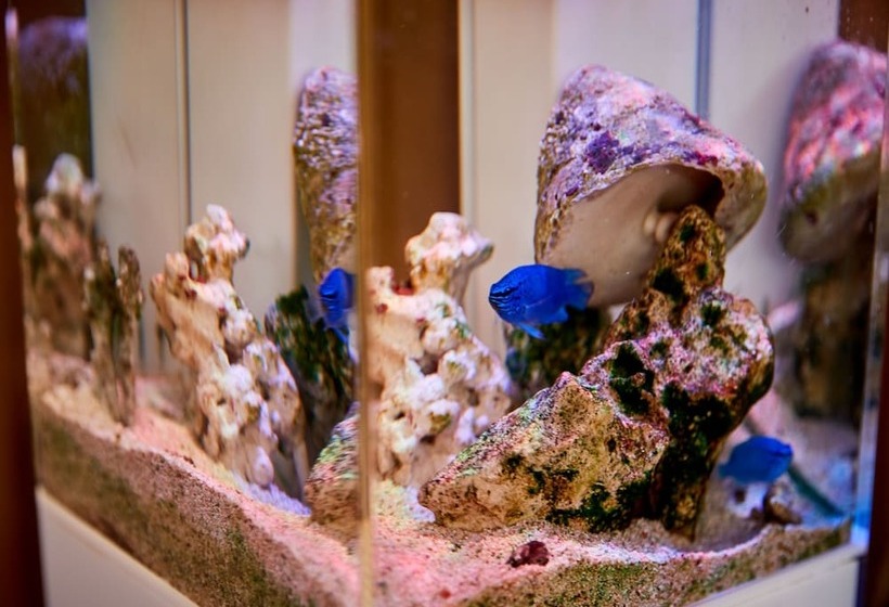 هتل Nagahama Beach Resort Kanon