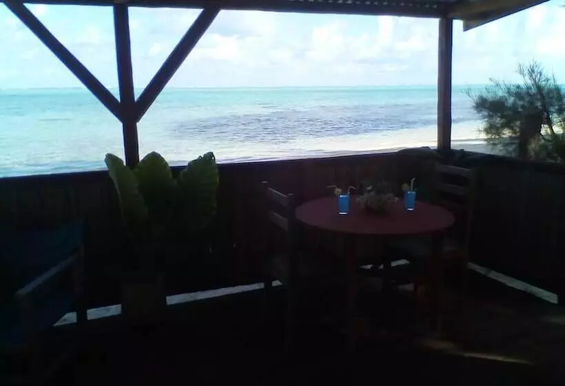 هتل Paradisa