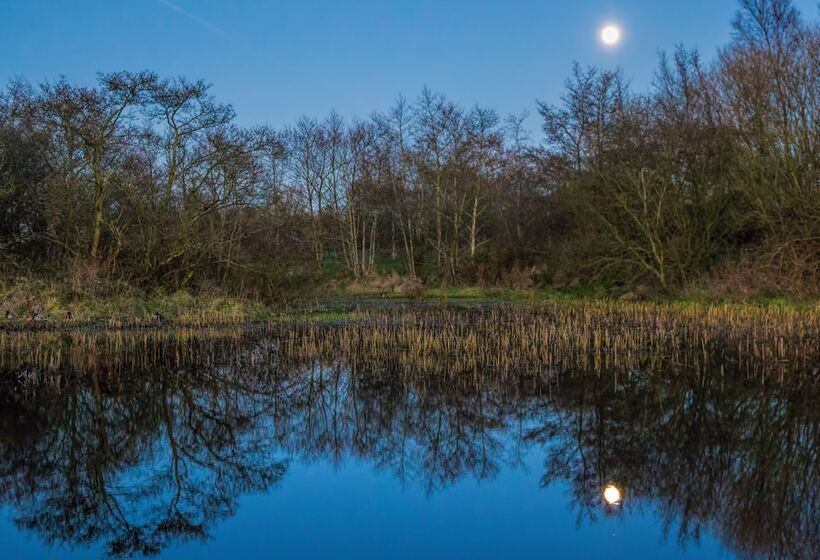 פנסיון Ballylagan Organic Farm