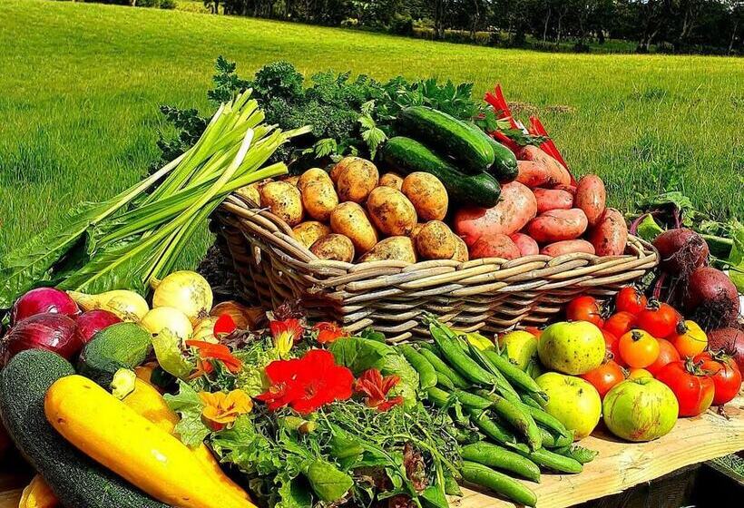 פנסיון Ballylagan Organic Farm