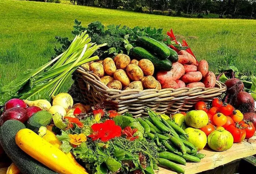 Majatalo Ballylagan Organic Farm