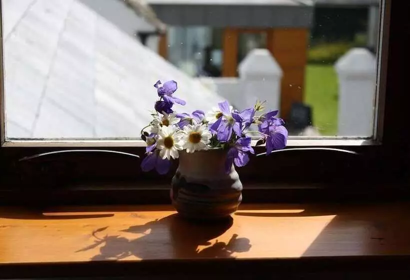 Majatalo Ballylagan Organic Farm