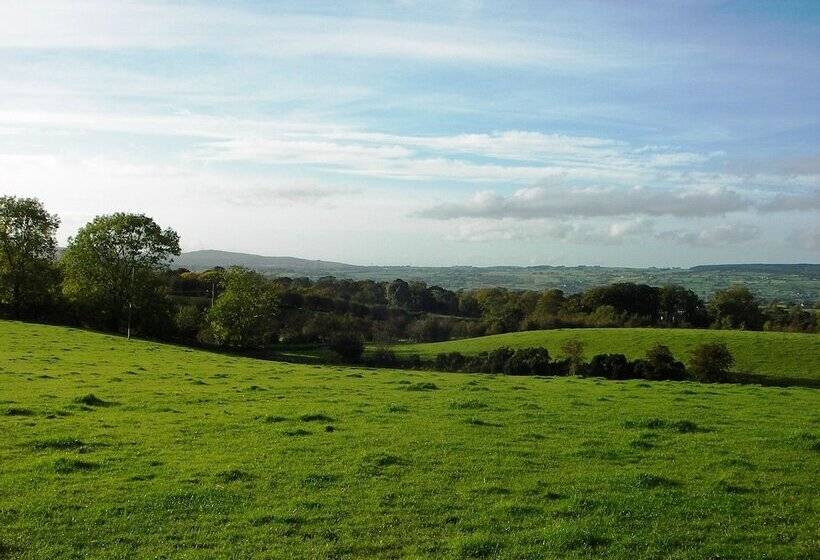 פנסיון Ballylagan Organic Farm
