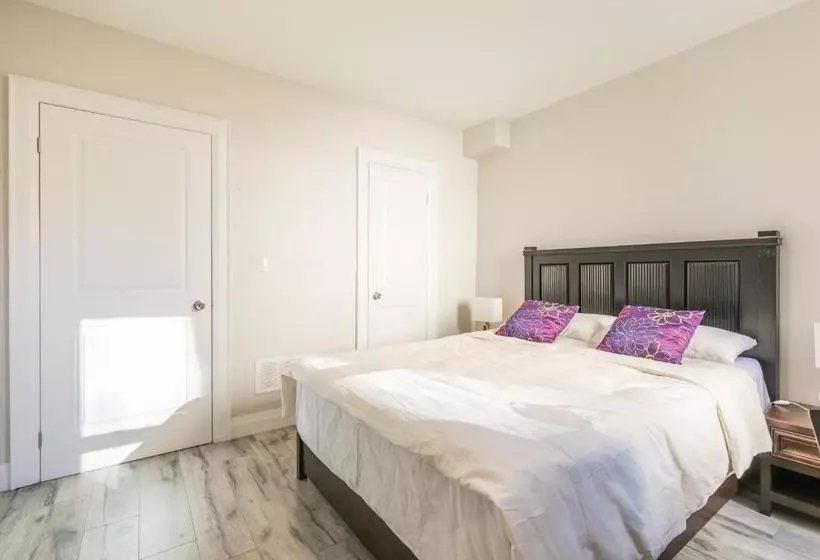 پانسیون Elevate Rooms At Spadina&bloor