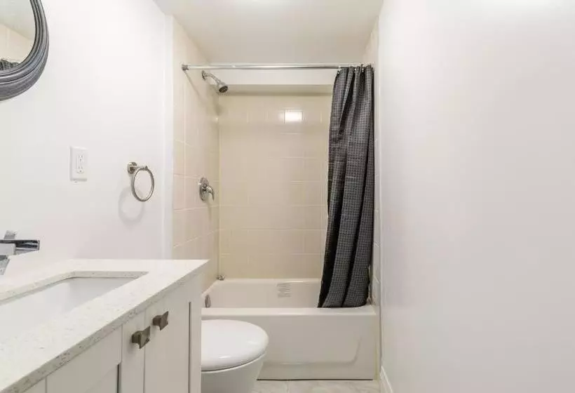 پانسیون Elevate Rooms At Spadina&bloor