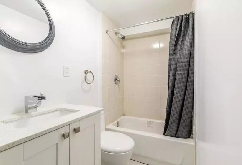 پانسیون Elevate Rooms At Spadina&bloor