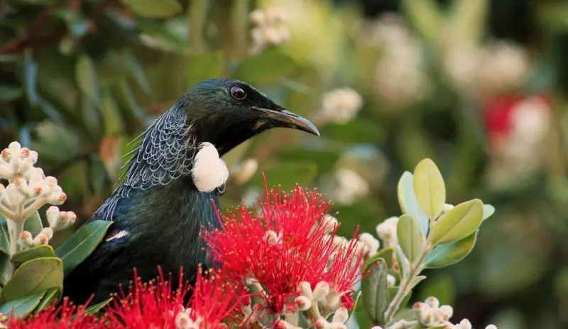 252 Beachside Motels & Holiday Park