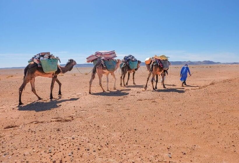 Authentique Riad M Hamid