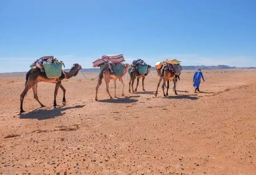 Authentique Riad M Hamid