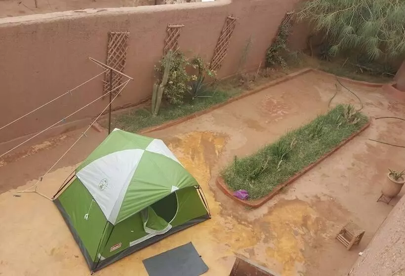 Authentique Riad M Hamid