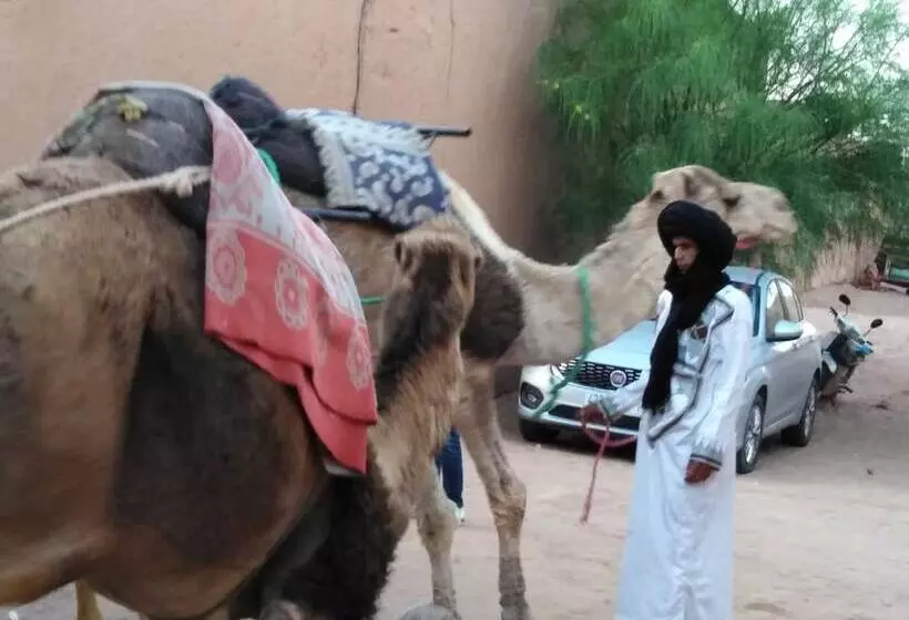 Authentique Riad M Hamid