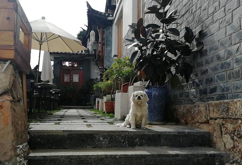 פונדק Mountain Musing