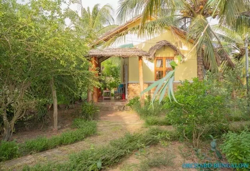 هتل Orchard Fruit Farm Bungalow